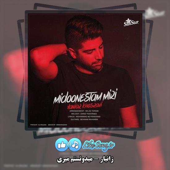 دانلود آهنگ زانیار میدونستم میری